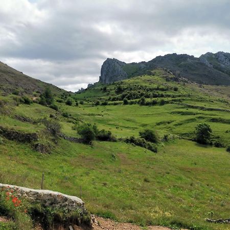 Vivienda Turistica Cueto Larama Vut-Le-860 Villa Villafeliz Dış mekan fotoğraf