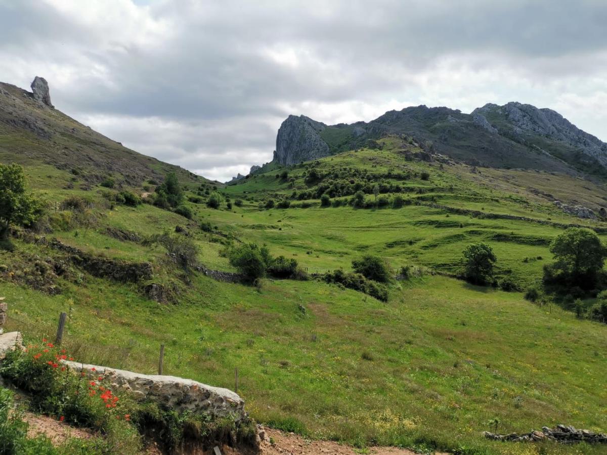 Vivienda Turistica Cueto Larama Vut-Le-860 Villa Villafeliz Dış mekan fotoğraf